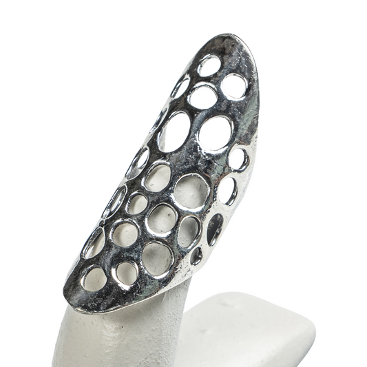 Long Punctured Ring
