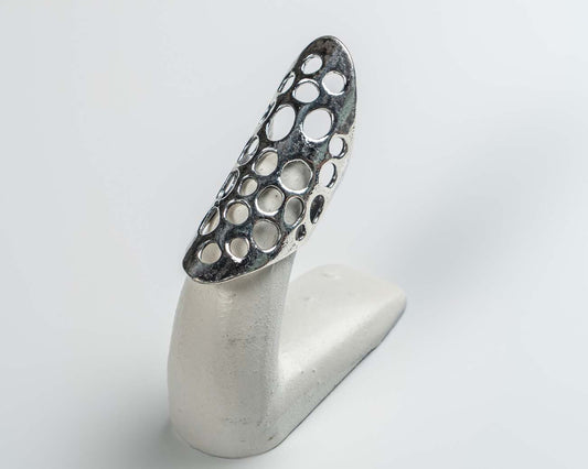 Long Punctured Ring