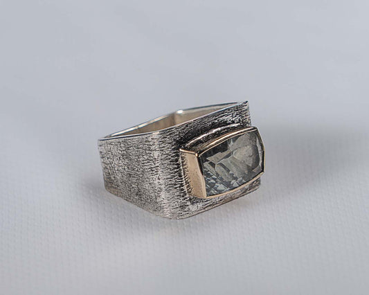 Rectangular Silver & Gold Ring